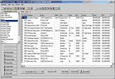 Accuracer Database System 4.03 screenshot