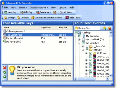 Advanced File Protector 2.2 screenshot