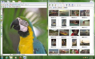 AI Picture Explorer 8.9 screenshot