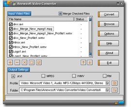 Anewsoft Video Converter 2.0 screenshot