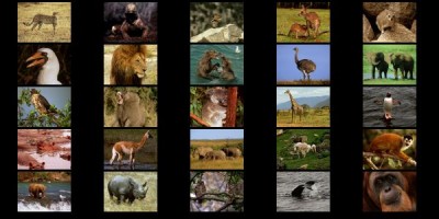 Animals I screensaver 1.0 screenshot