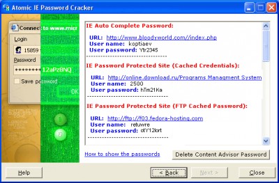 Atomic IE Password Cracker 1.20 screenshot