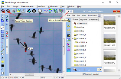 Bersoft Image Measurement 9.0 screenshot