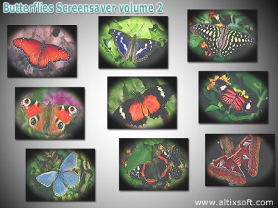 Butterflies Screensaver volume 2 1.2 screenshot