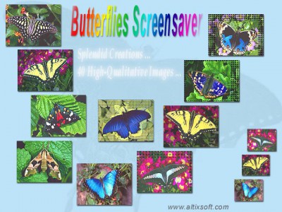 Butterflies Screensaver 1.3 screenshot
