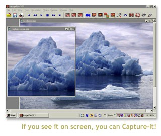Capture-It! 1.0 screenshot