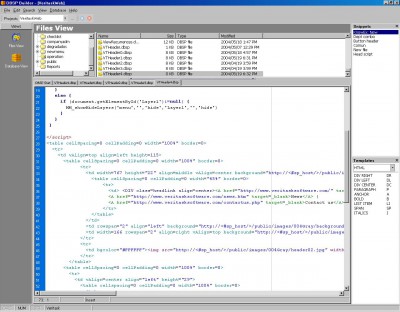 Data Base Scripting Pages 1.1 screenshot