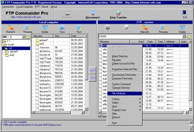 FTP Commander Pro 8.03 screenshot