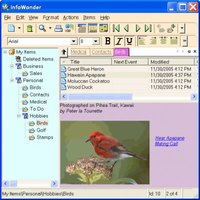 InfoWonder 1.1.3100 screenshot