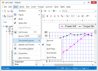 Maple 9.0.5 screenshot