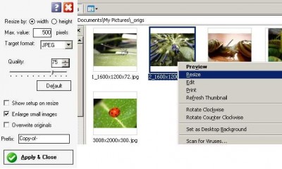 PicuSizer 1.7.223 screenshot