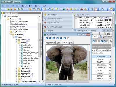 PostgreSQL Maestro 21.12 screenshot