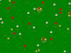 Spring Wildflowers Screen Saver 1.3 screenshot