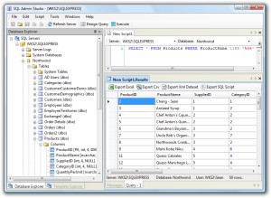 SQL Admin Studio 3.0.3090 screenshot