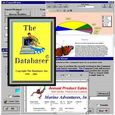 TheDatabaser 1.0 screenshot