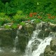 3D Garden Waterfalls 1.0 Screenshot