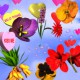 3D Hearts and Flowers 1.0 Screenshot