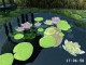 3D Pond screensaver 1.1 Screenshot