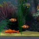 3D Salt Water Fish Tank 1.0