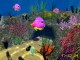 3D Sea Dive screensaver 1.0 Screenshot