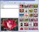 Able Image Browser 2.0.14.14 Screenshot