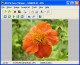 AD Picture Viewer 3.9.1 Screenshot