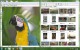 AI Picture Explorer 8.9