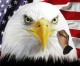 American Flag With Eagle 7.7