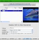 Domeru DVD to iPod Converter 5.0 Screenshot