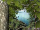 Forest World 3D Screensaver 1.01.3 Screenshot
