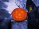 Halloween Pumpkin 3D Screensaver 1.02.2 Screenshot
