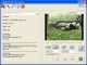 MingSoft 3GP Video Converter Pro 1.0.3 Screenshot