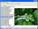 Neomesh Image Converter 2.5