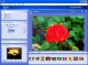 Nici Picture Downloader 2.10 Screenshot