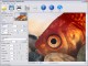 PhotoZoom Professional 1.2.8 Screenshot