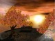 SS Autumn Sunset - Animated Desktop ScreenSaver 3.1 Screenshot