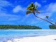Tropical Beach Living Desktop 1.0.0