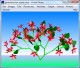 Virtual Flower 2.1 Screenshot